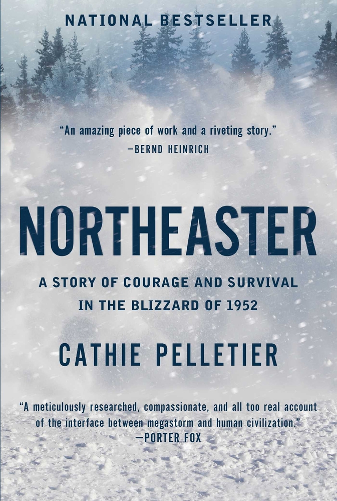 Cathie Pelletier: Northeaster (Paperback, Pegasus Books)