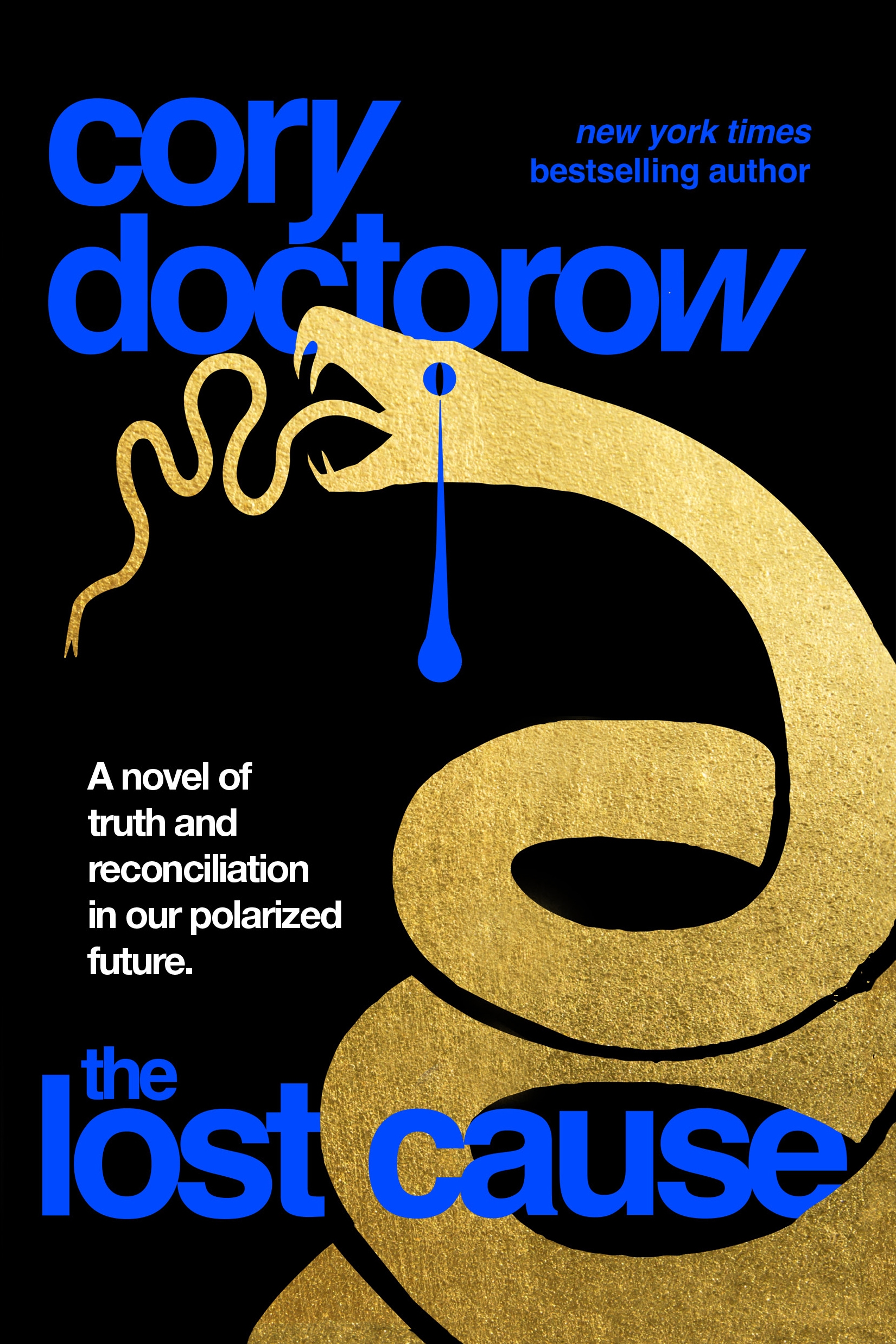Cory Doctorow (Duplicate): The Lost Cause (TOR)