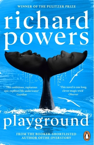 Richard Powers: Playground (2024, Cornerstone Publishing)
